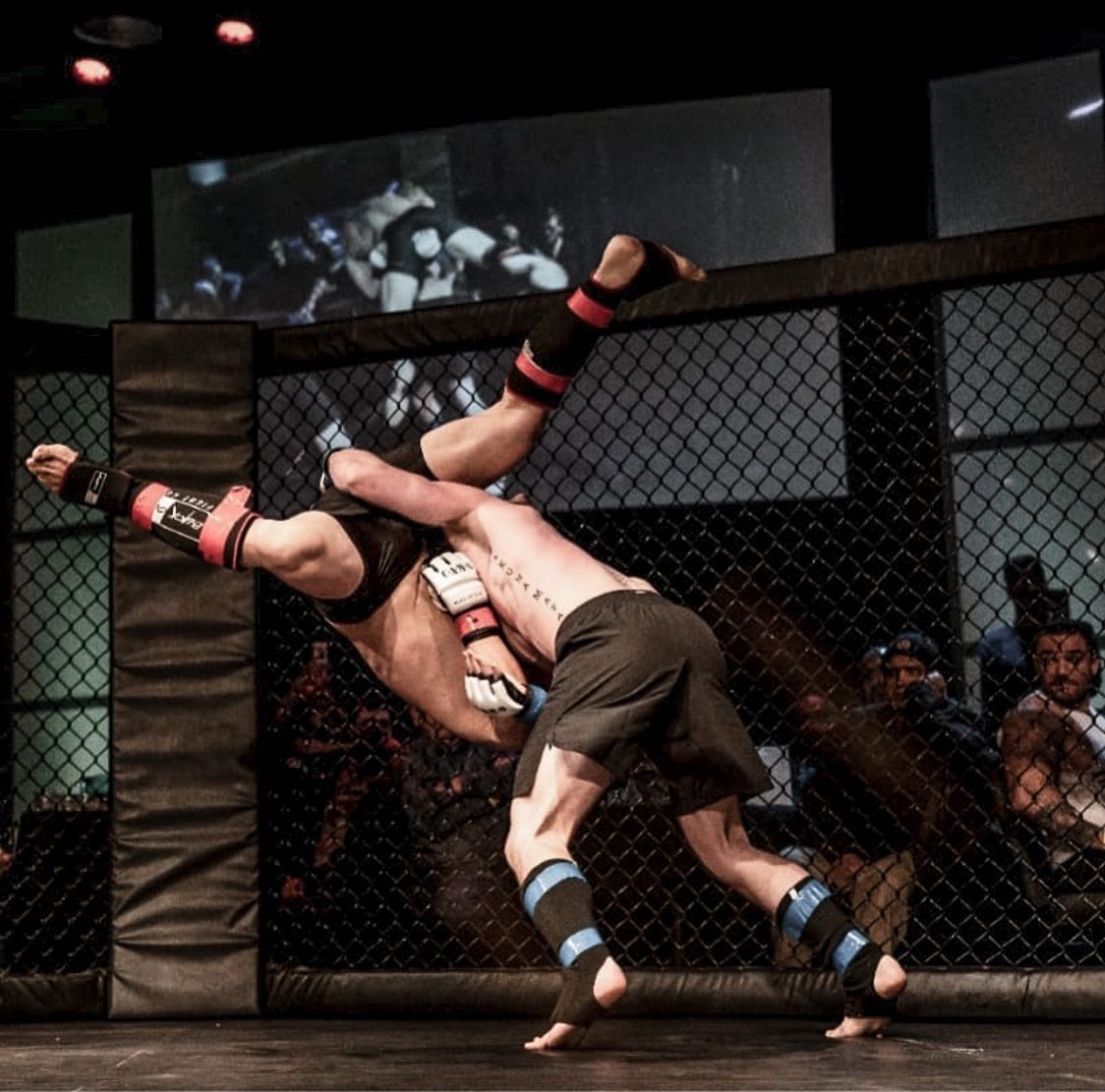 Jiu Jitsu vs. Muay Thai